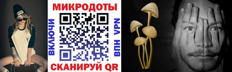 наркошоп  Новочеркасск  KRAKEN ONION  Галлюциногенные грибы Magic Shrooms 