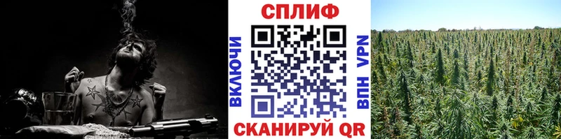 Марихуана планчик  Новочеркасск 